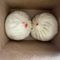 Steamed Pork and Tofu Buns-2pcs